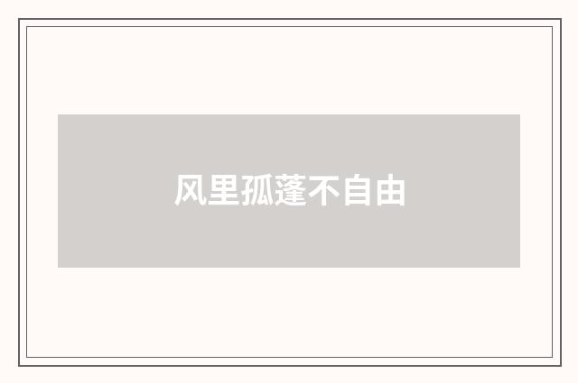 风里孤蓬不自由