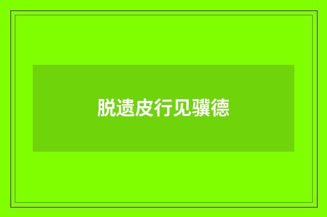 脱遗皮行见骥德
