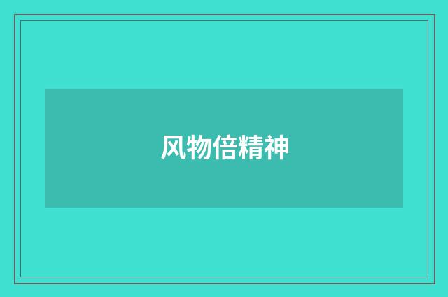 风物倍精神