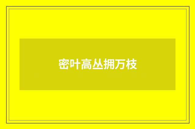 密叶高丛拥万枝