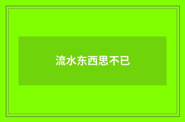 流水东西思不已