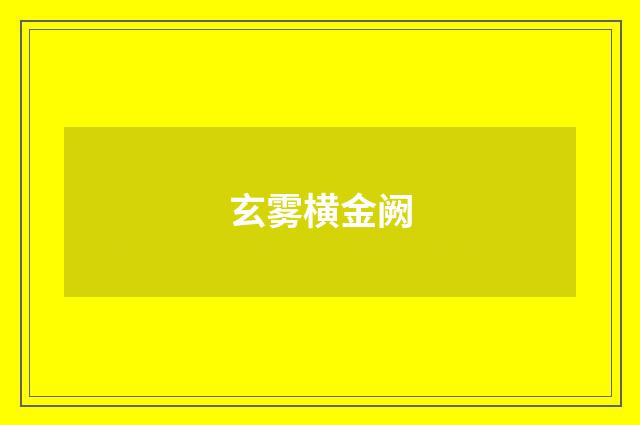 玄雾横金阙
