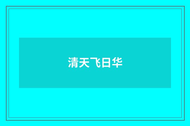 清天飞日华