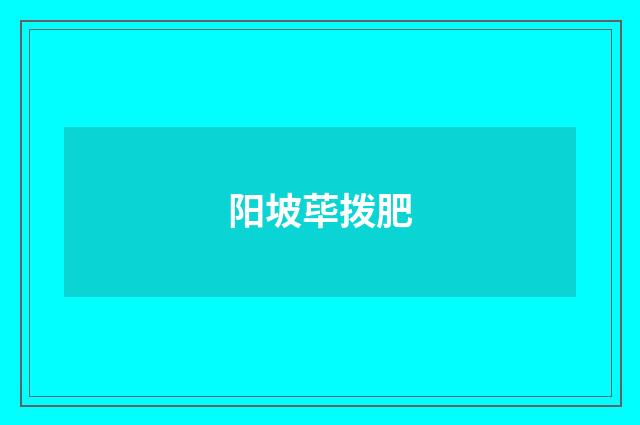 阳坡荜拨肥