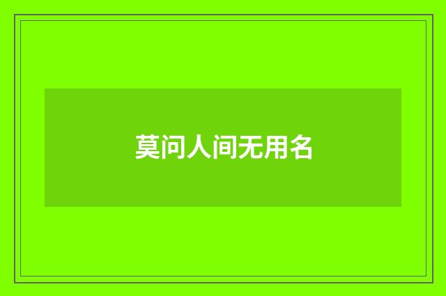 莫问人间无用名