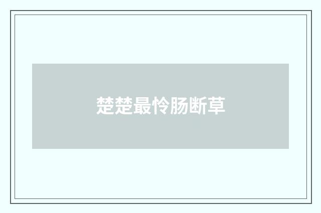 楚楚最怜肠断草