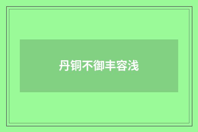 丹铜不御丰容浅