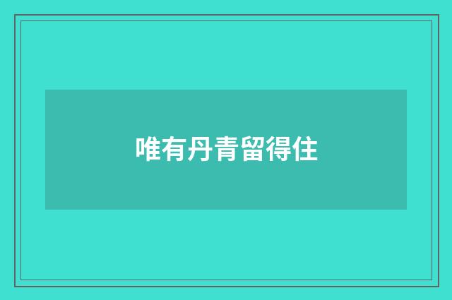 唯有丹青留得住
