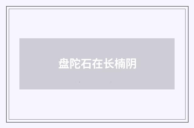 盘陀石在长楠阴