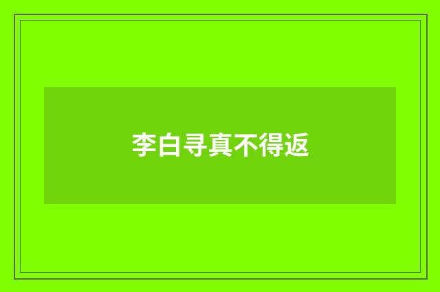 李白寻真不得返