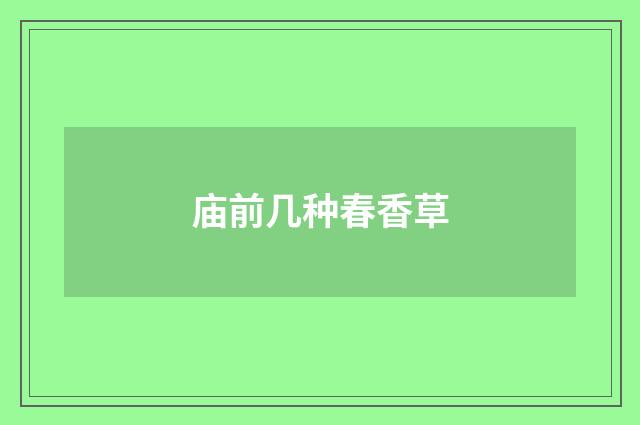 庙前几种春香草