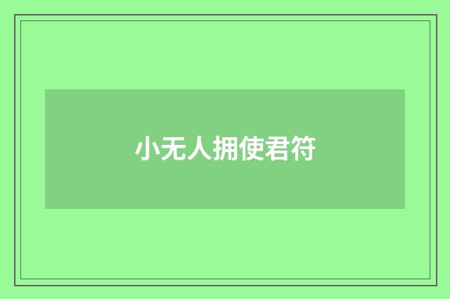 小无人拥使君符