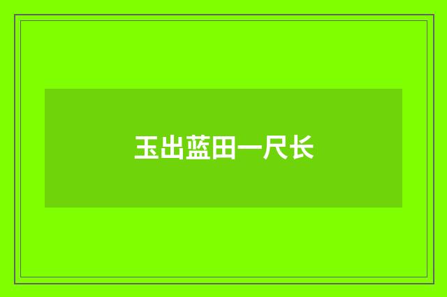 玉出蓝田一尺长