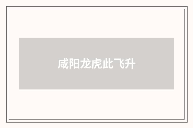 咸阳龙虎此飞升