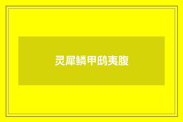 灵犀鳞甲鸱夷腹