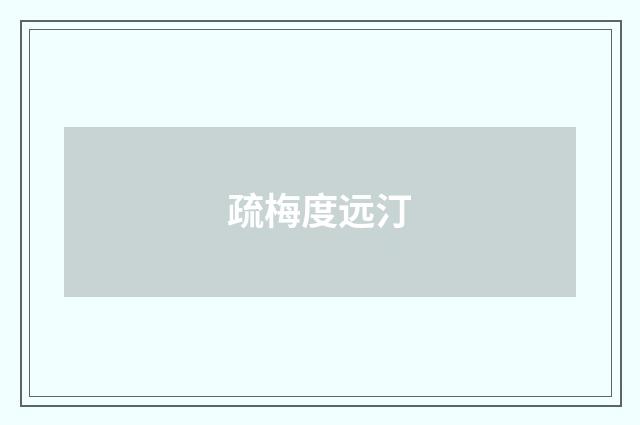 疏梅度远汀