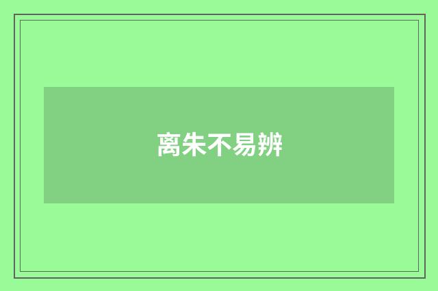 离朱不易辨