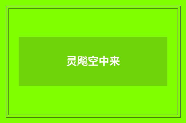 灵飚空中来