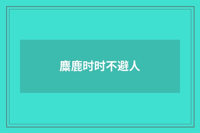 麋鹿时时不避人
