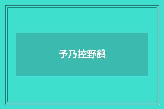 予乃控野鹤