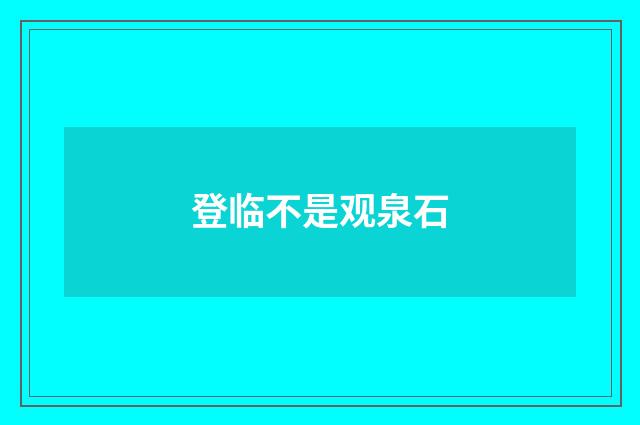 登临不是观泉石