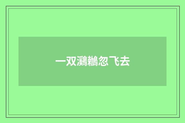 一双鸂鶒忽飞去