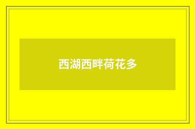 西湖西畔荷花多