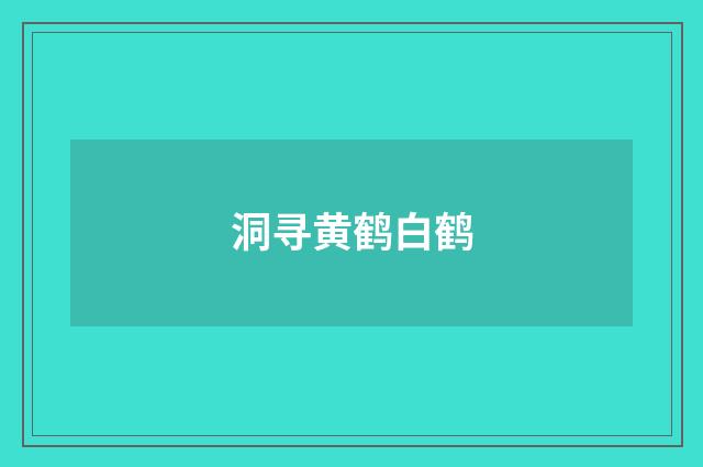 洞寻黄鹤白鹤