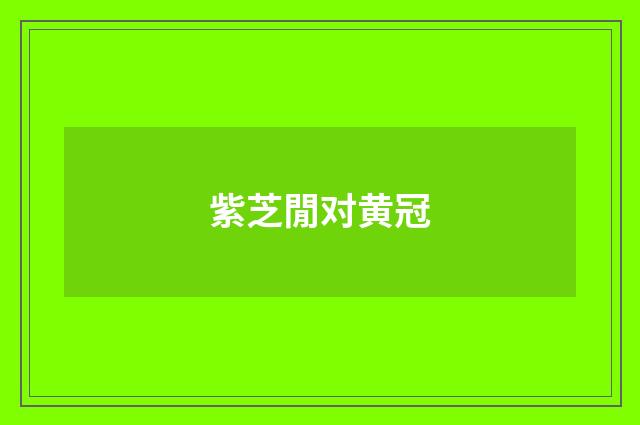 紫芝閒对黄冠