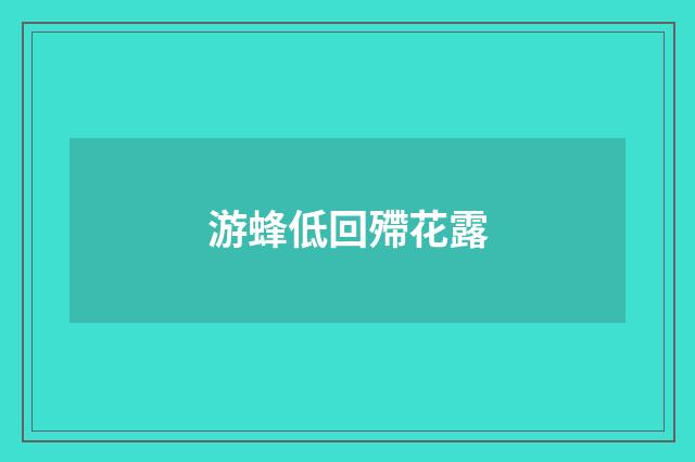游蜂低回殢花露