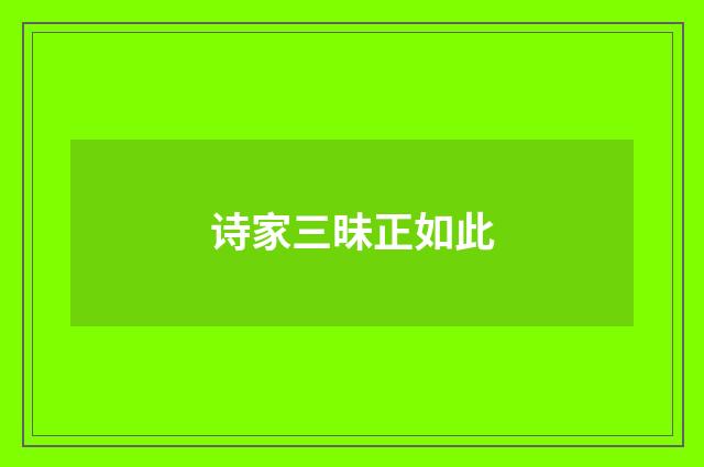 诗家三昧正如此