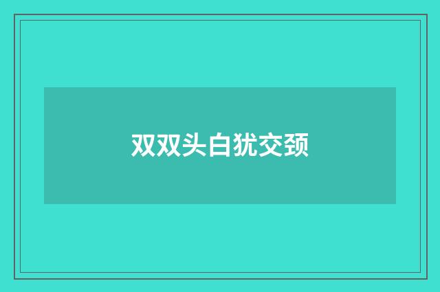 双双头白犹交颈