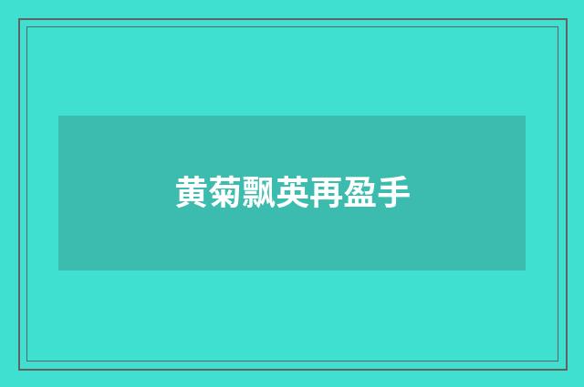 黄菊飘英再盈手