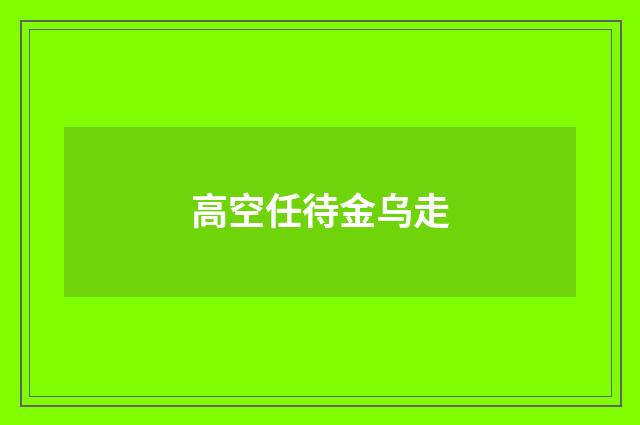 高空任待金乌走