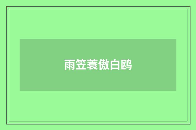 雨笠蓑傲白鸥