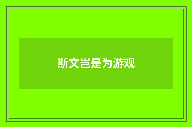 斯文岂是为游观
