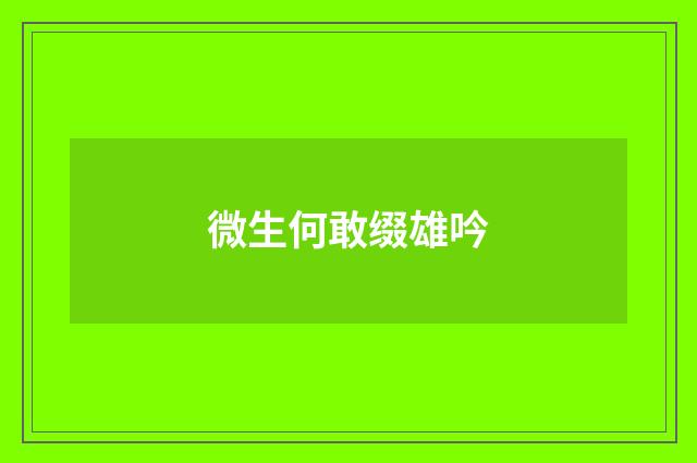 微生何敢缀雄吟