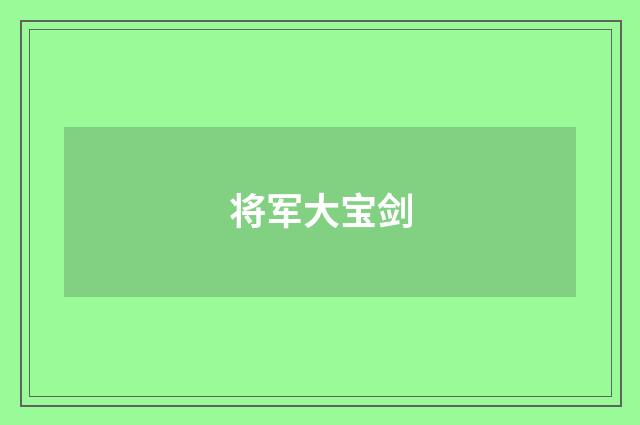 将军大宝剑