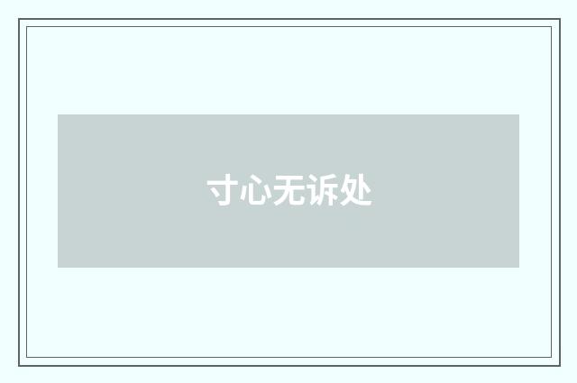 寸心无诉处