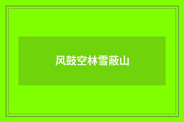 风鼓空林雪蔽山