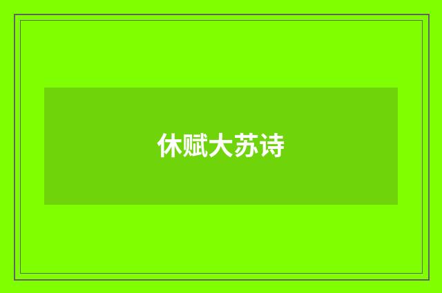 休赋大苏诗