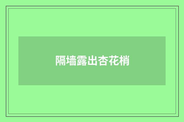 隔墙露出杏花梢