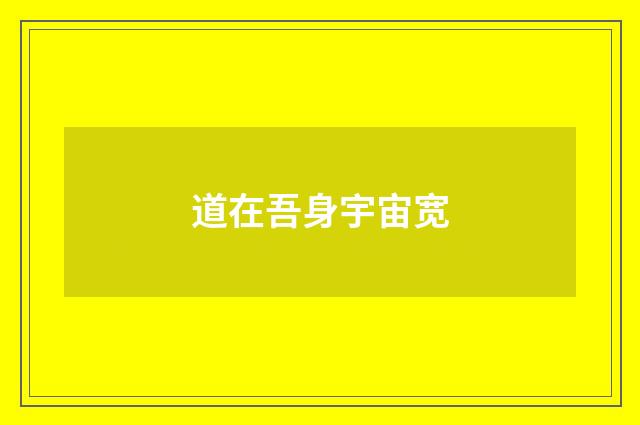 道在吾身宇宙宽