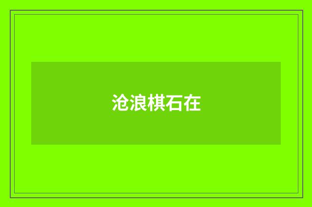 沧浪棋石在