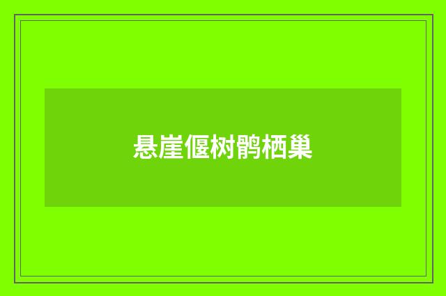悬崖偃树鹘栖巢