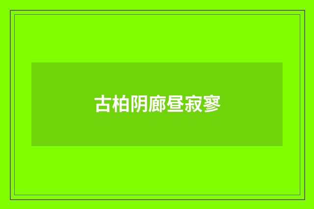 古柏阴廊昼寂寥