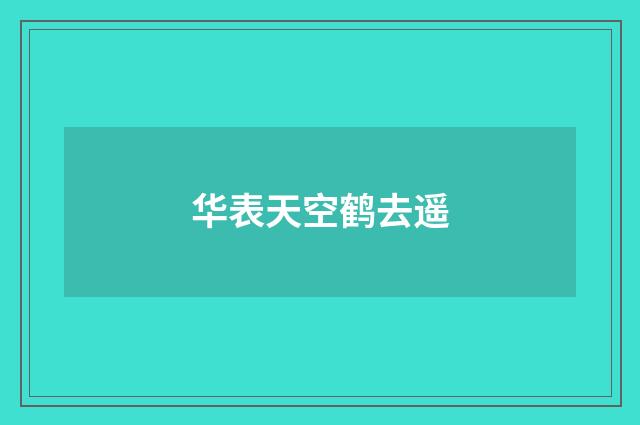 华表天空鹤去遥