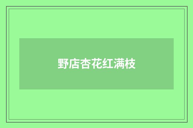野店杏花红满枝