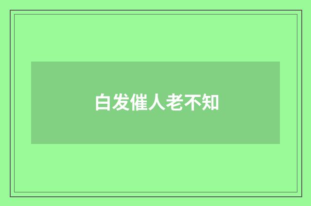 白发催人老不知