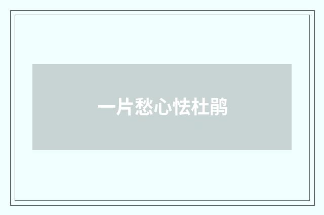 一片愁心怯杜鹃